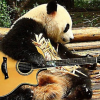 Панда с Гитарой