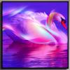 Фиолетовый лебедь