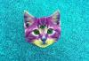 purpur cat