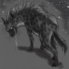 Hyena 24