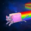 Nyan_Cat618
