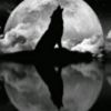 Ночная_луна