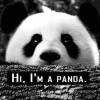 Little_panda_SK