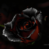 Черная.розa