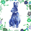 Blue_rabbit002