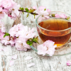 Sakura_Tea
