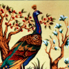 Peacock-Extrasensory