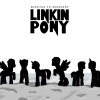 Linkin Pony