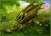 Oksi Green Dragon