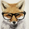 I.B.fox