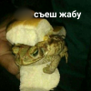 съел жабу