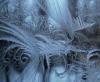 Siberian frost
