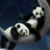 Уставшая панда