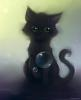 BLACK CAT 13