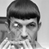 Mr Spock admirer