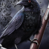 Черный Ворон хозяин Пустоши