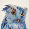 Owl_Alexandra_Petrova