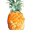 Pine_pineapple