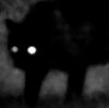 Shadow Black Cat