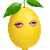 _Lemonchek_