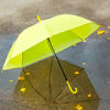 the yellow umbrella