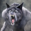 Бешенный волк