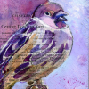 Purple sparrow