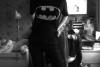batman_lover