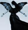 Black-winged Angel