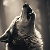 Игривая Волчица