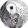 Sea_owl