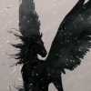 Black_Pegasus