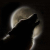 Волчица луны