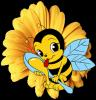 Пчелка Кастиила