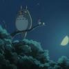 Totoroo_oo