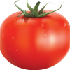 pomidorka2.0