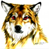 Goldy_The_Werewolf