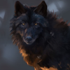 Blackwolfs