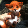 Newt_fox