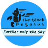 The Black Pegasus