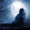 Кошка под луной