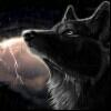 _Alpha_Wolf_