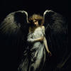 Angel_Dark_