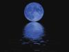 moon_of_the_night