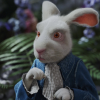 BraveWhite_Rabbit