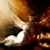 ---Fallen Angel---