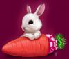 Морковка рыжая