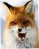 Lantika Fox
