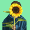 sunflowerr.m