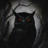 Owl_Dark